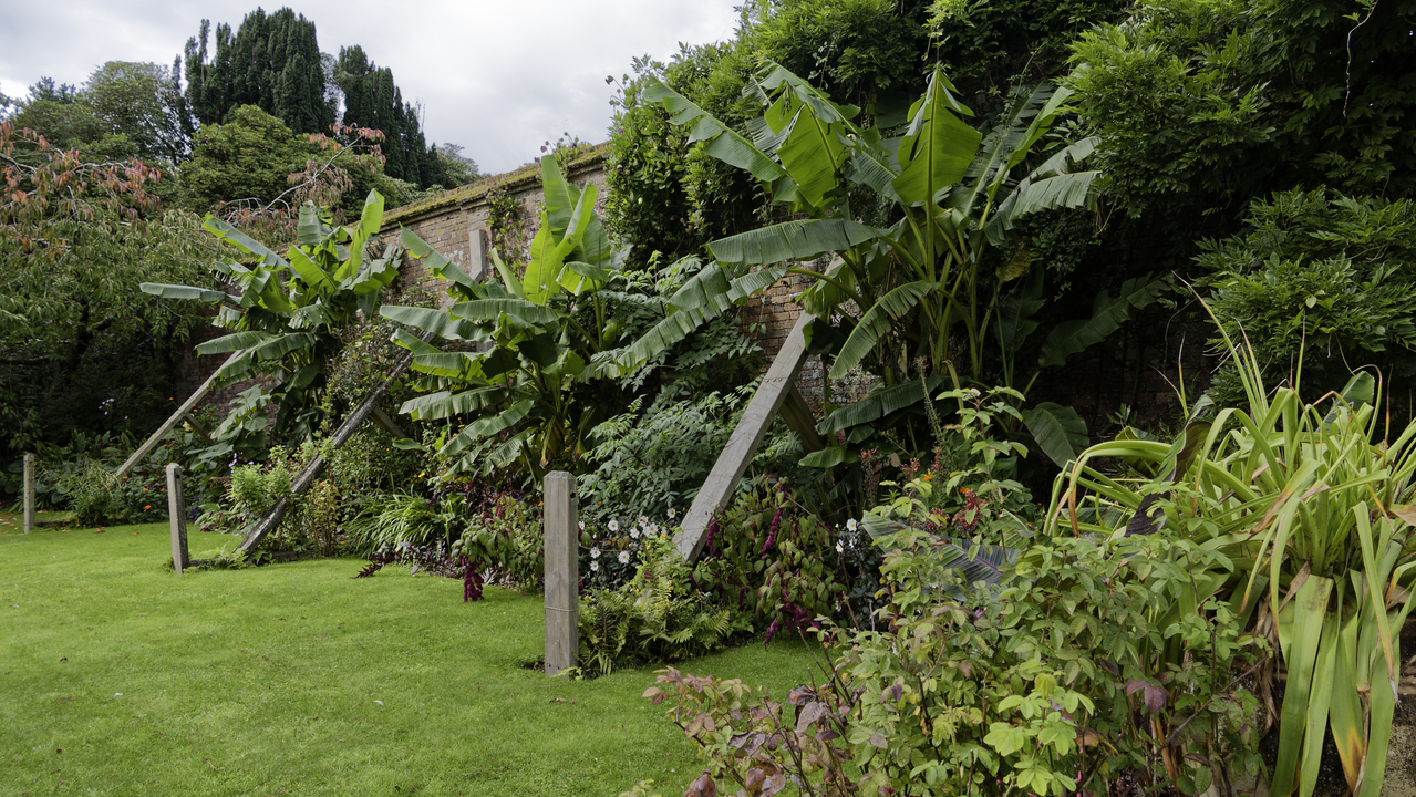 20261006-130858•Lost Gardens of Heligan•Mevagissey•Cornwall•UK